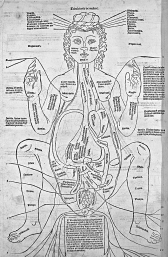 Johannes de Ketham, Fasciculus medicine, Benátky 1491, anatomie ženy
