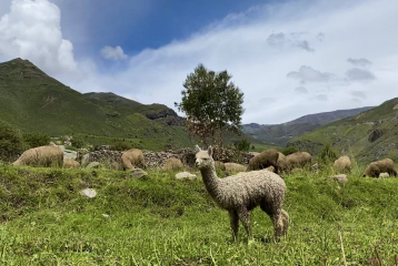 Peru – klenot Jižní Ameriky