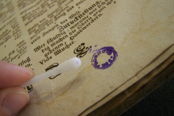 Výstava Prodloužený život