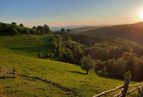 Dvě staletí v divočině