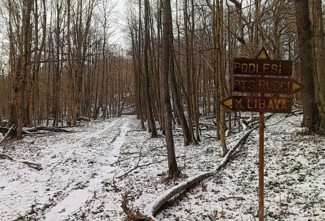 Libavsko koncem války