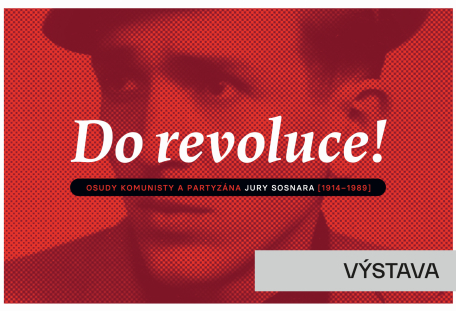 Do revoluce! Osudy komunisty a partyzána Jury Sosnara (1914–1989)