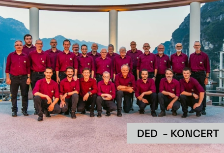 DED – koncert CIMA D´ORO