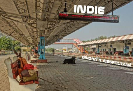 INDIE – DIVOKÁ A NESPOUTANÁ
