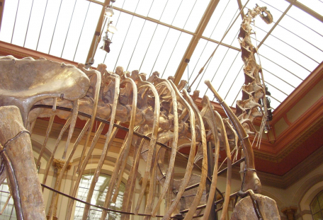 Rekordy živé přírody