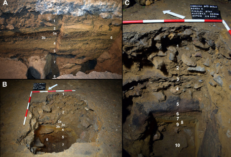 Halštatská Býčí skála. Minulost, přítomnost a budoucnost