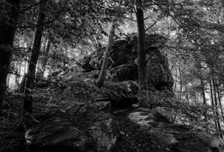 Lukáš Horký - V tiché krajině pod Králickým Sněžníkem