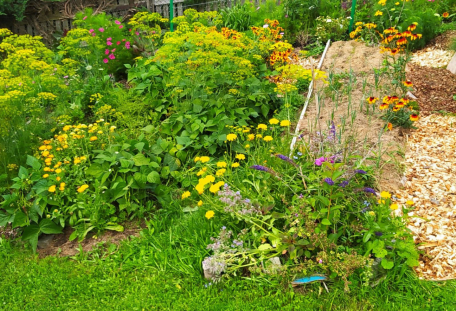 Zlehka permakulturní zahradou