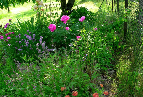Jak namixovat permakulturní záhon