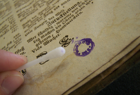 Výstava Prodloužený život