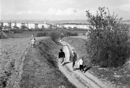 Cesta k sídlišti. Poválečná bytová výstavba v Olomouci